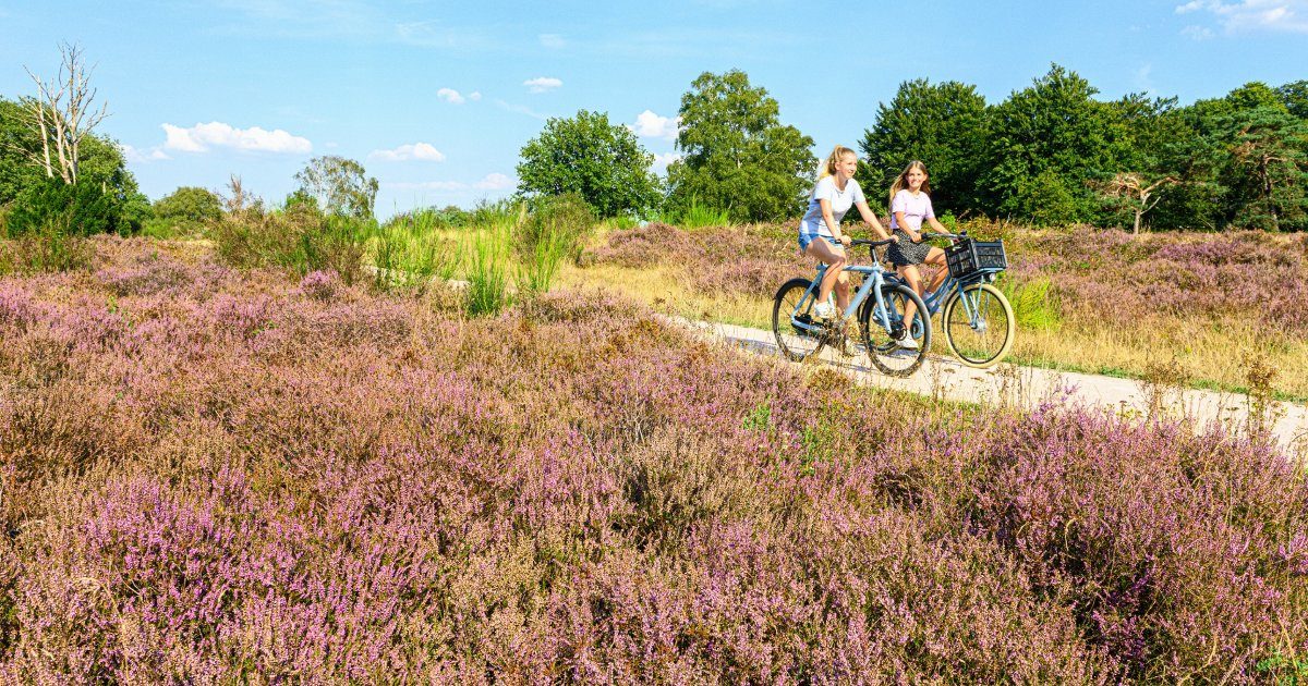 Go on a bike ride in Hilversum